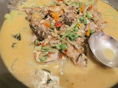 -饭怕鱼·黄焖鲟龙鱼(湖大店)