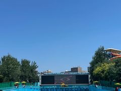 -欢乐水魔方水世界