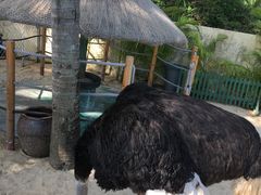 -三亚亚龙湾天域度假酒店