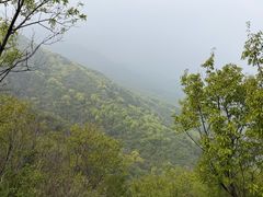 -大觉寺-停车场