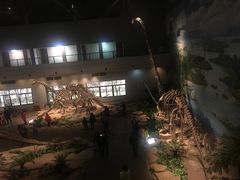 -自贡恐龙博物馆