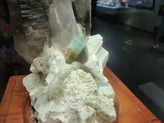 -湖南省地质博物馆