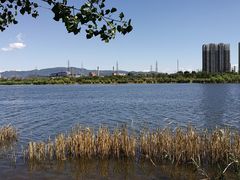 -永定河休闲森林公园