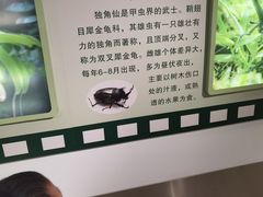 -上海昆虫博物馆