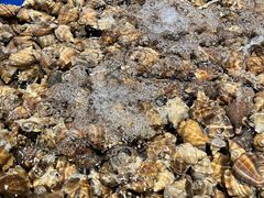 -三亚火车头万人海鲜广场