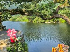 -上坦村