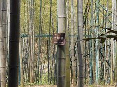 -陶祖圣境风景区