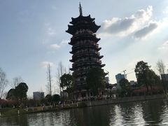 -洋湖国家湿地公园