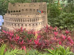 -南宫五洲植物乐园