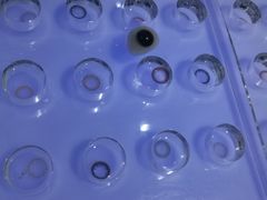 -miomi米欧米隐形眼镜(领展购物广场·中关村店)