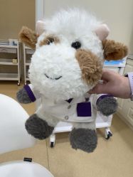 -上海首尔丽格医疗美容医院