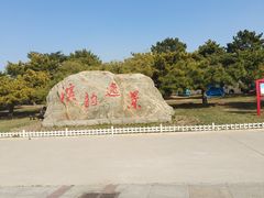 -塘沽森林公园