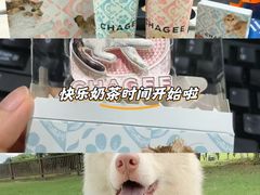 -霸王茶姬(正佳广场店)