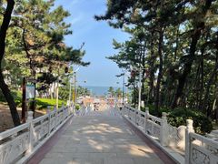 -林海公园