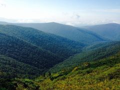 iphone_upload_pic-凤凰山国家森林公园