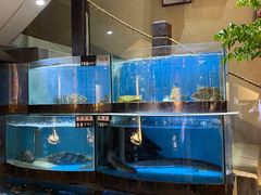 -八闽饭店闽南小镇(铁西店)