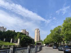 -陈家山荷花公园