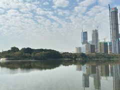-华侨城湿地公园