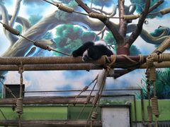 -石家庄市动物园