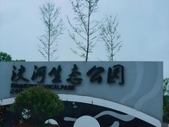 -洨河生态公园