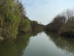 景点-溱湖国家湿地公园