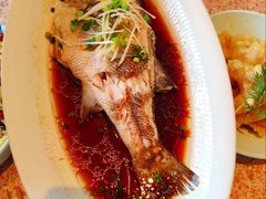-红樱桃·欢乐餐厅(太原里店)