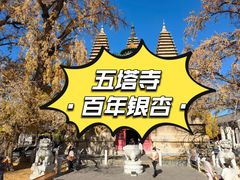 -北京石刻艺术博物馆(五塔寺)