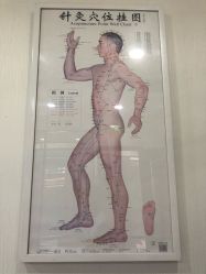 -赵大夫减肥