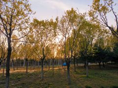 -东郊湿地公园