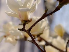 -中国中医科学院西苑医院(本部)