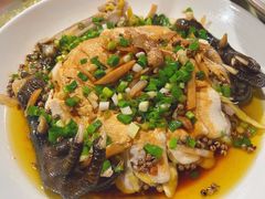 -晓雯人家