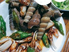 -久儿地炉烤肉(海信慧园店)