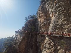 -老君山风景名胜区