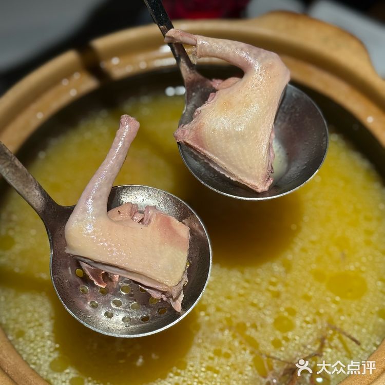 今天简直被这鸽子肉给香迷糊啦——文鸽苑