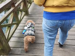 -桤木河湿地公园