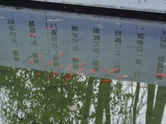 -鹿野苑石刻艺术博物馆