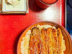 -料亭菊水楼