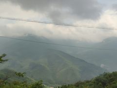 -天目山大树王景区