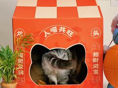 -鱼上·烤鱼(万象城店)