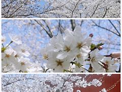 -龙美术馆(西岸馆)