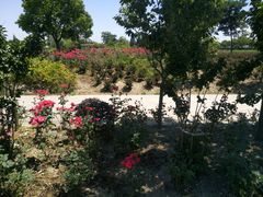 -歌斐颂巧克力小镇