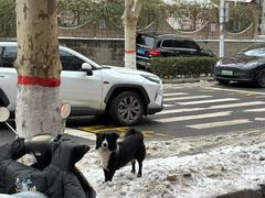 -葛记焖饼(伏牛路店)