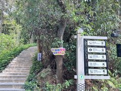 -广州市帽峰山景区