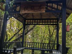 -云南屏边大围山国家公园