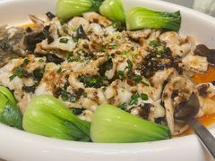 -顺德美的万豪酒店-万豪中餐厅