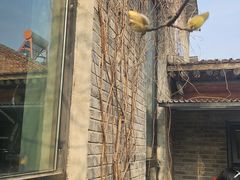 -出走咖啡·面包(宋庄店)