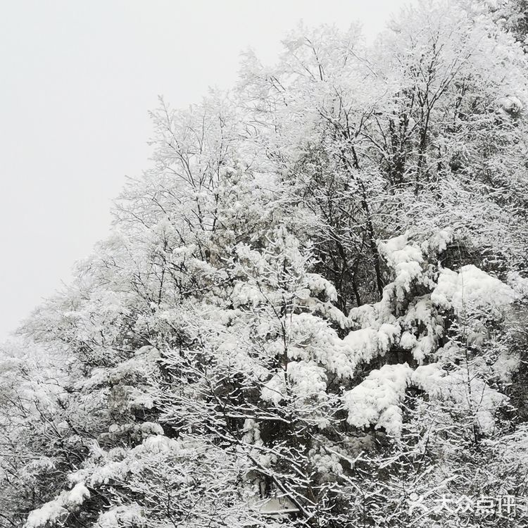 雾凇、白雪、冰挂这里都有