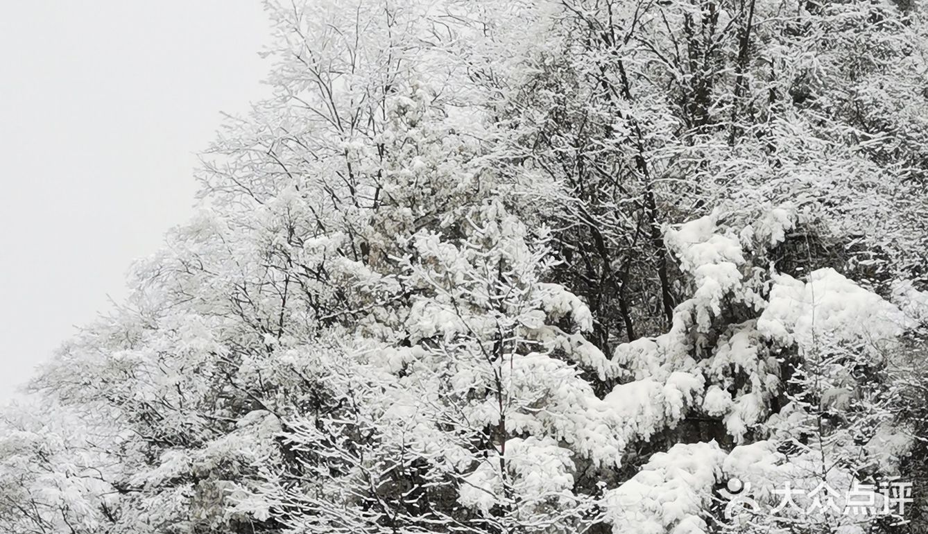 雾凇、白雪、冰挂这里都有