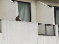 -苏州环秀晓筑养生度假村