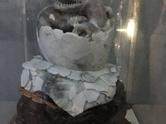 -中国西峡恐龙遗迹园
